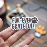 An individual holds a Custom Paper Sticker from impack.co that reads "Fur-ever Grateful!" with a paw print graphic, against a blurred background of a wooden tabletop and scattered objects.