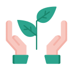 Two hands hold up a small green plant with two leaves, symbolizing growth or environmental care, on a plain background.